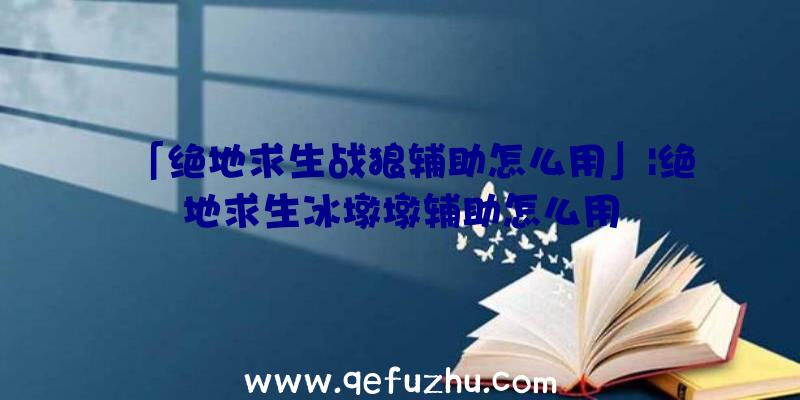 「绝地求生战狼辅助怎么用」|绝地求生冰墩墩辅助怎么用